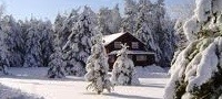 Weather